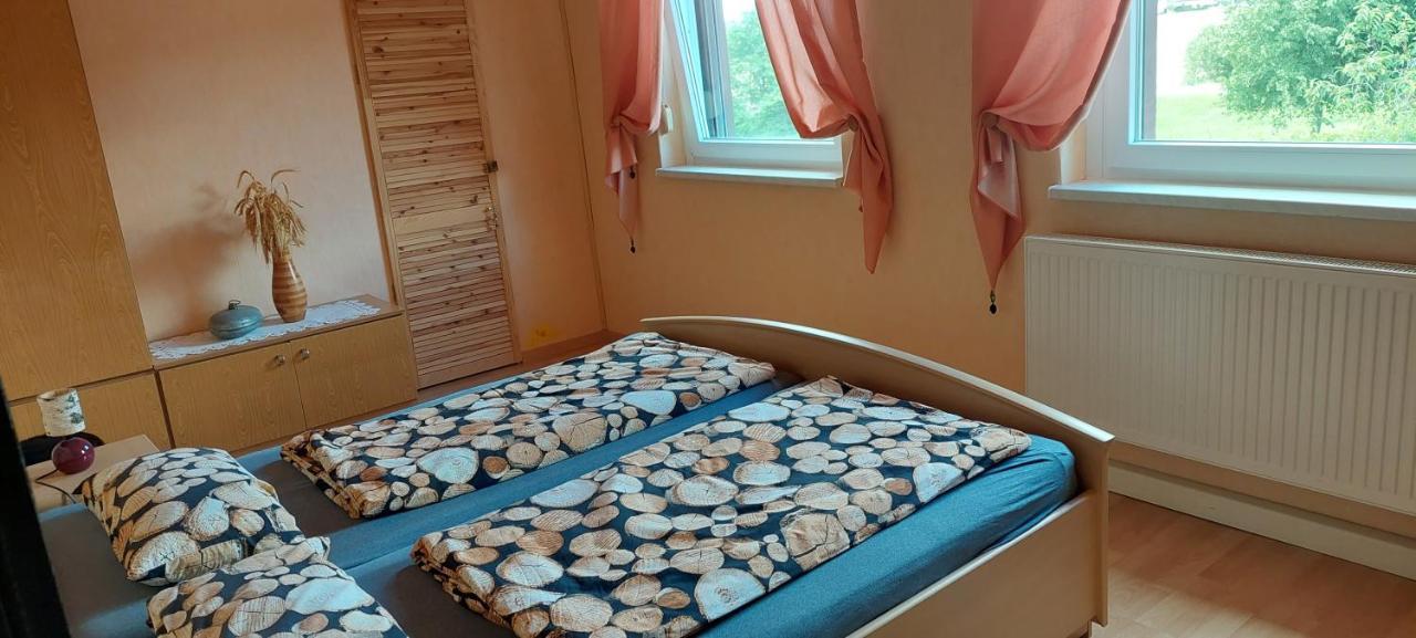 Appartement Wildholz Sachsen à Weidenhain Extérieur photo