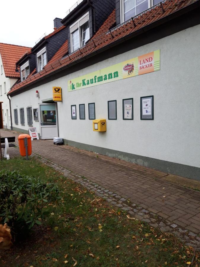 Appartement Wildholz Sachsen à Weidenhain Extérieur photo